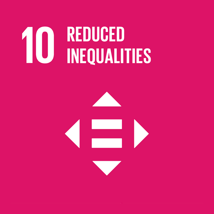 10 REDUCED INEQUALITIES 10 REDUCED INEQUALITIES