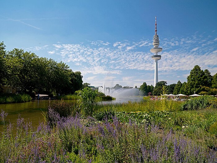 Planten un Blomen, im Hintergrund der Hamburger Fernsehturm © Mediaserver Hamburg / Christian Spahrbier Planten un Blomen, im Hintergrund der Hamburger Fernsehturm