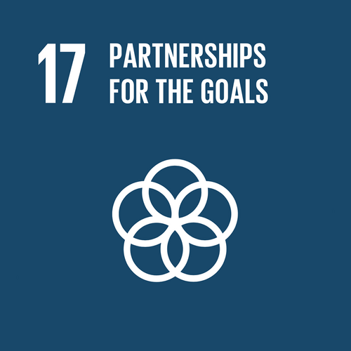 17 PARTNERSHIPS FOR THE GOALS 17 PARTNERSHIPS FOR THE GOALS